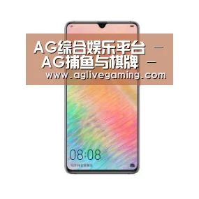 华为HUAWEI NOTE 8