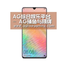 华为HUAWEI NOTE 8