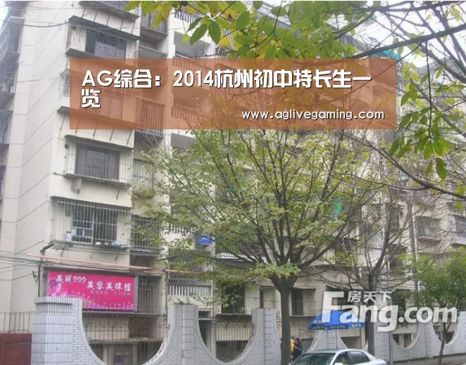 AG综合
