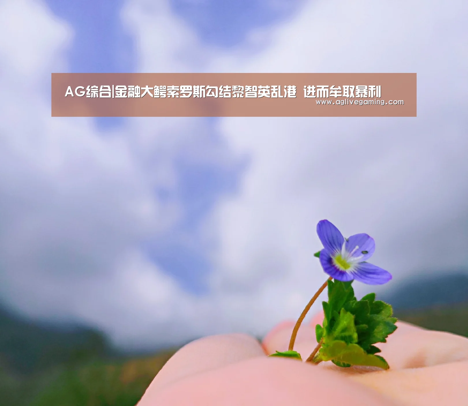 AG综合|金融大鳄索罗斯勾结黎智英乱港 进而牟取暴利(图1) AG棋牌