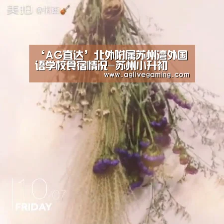 AG直达
