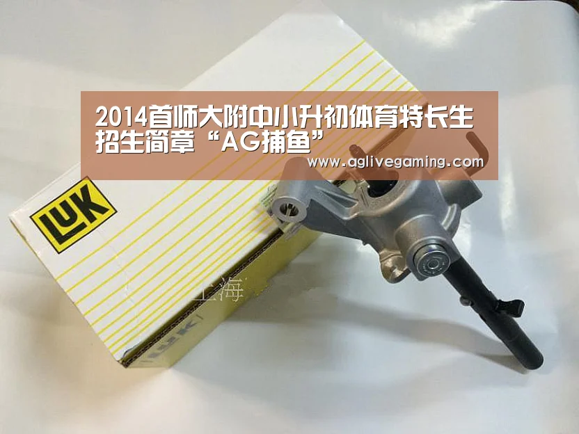 AG综合