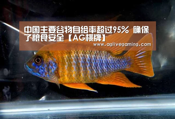 中国主要谷物自给率超过95% 确保了粮食安全【AG棋牌】(图3) AG捕鱼