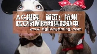 AG综合