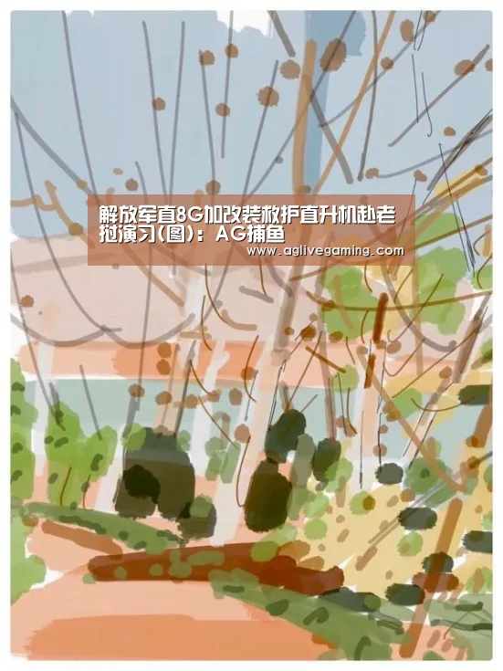 解放军直8G加改装救护直升机赴老挝演习(图):AG捕鱼(图2) AG综合