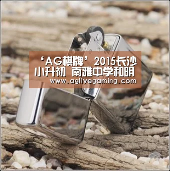 ‘AG棋牌’2015长沙小升初 南雅中学和明德华兴哪个好?(图4) AG综合