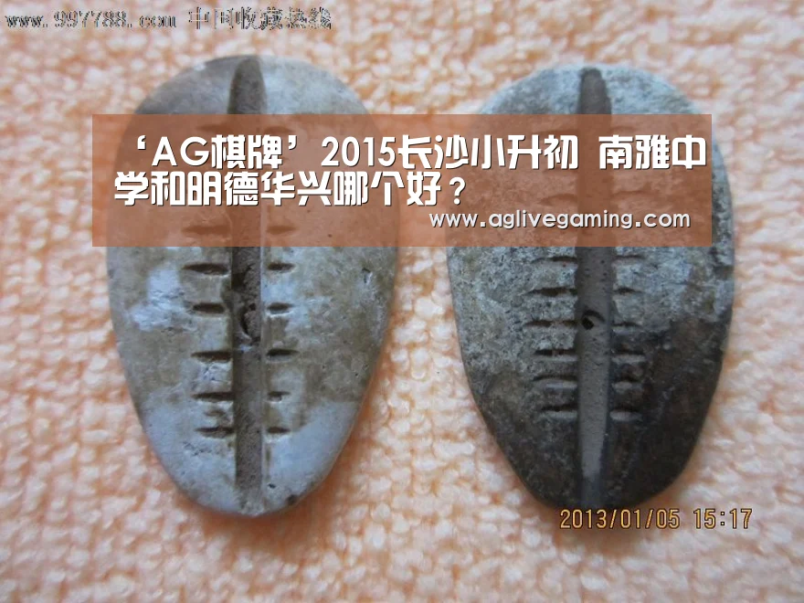 ‘AG棋牌’2015长沙小升初 南雅中学和明德华兴哪个好?(图2) AG捕鱼