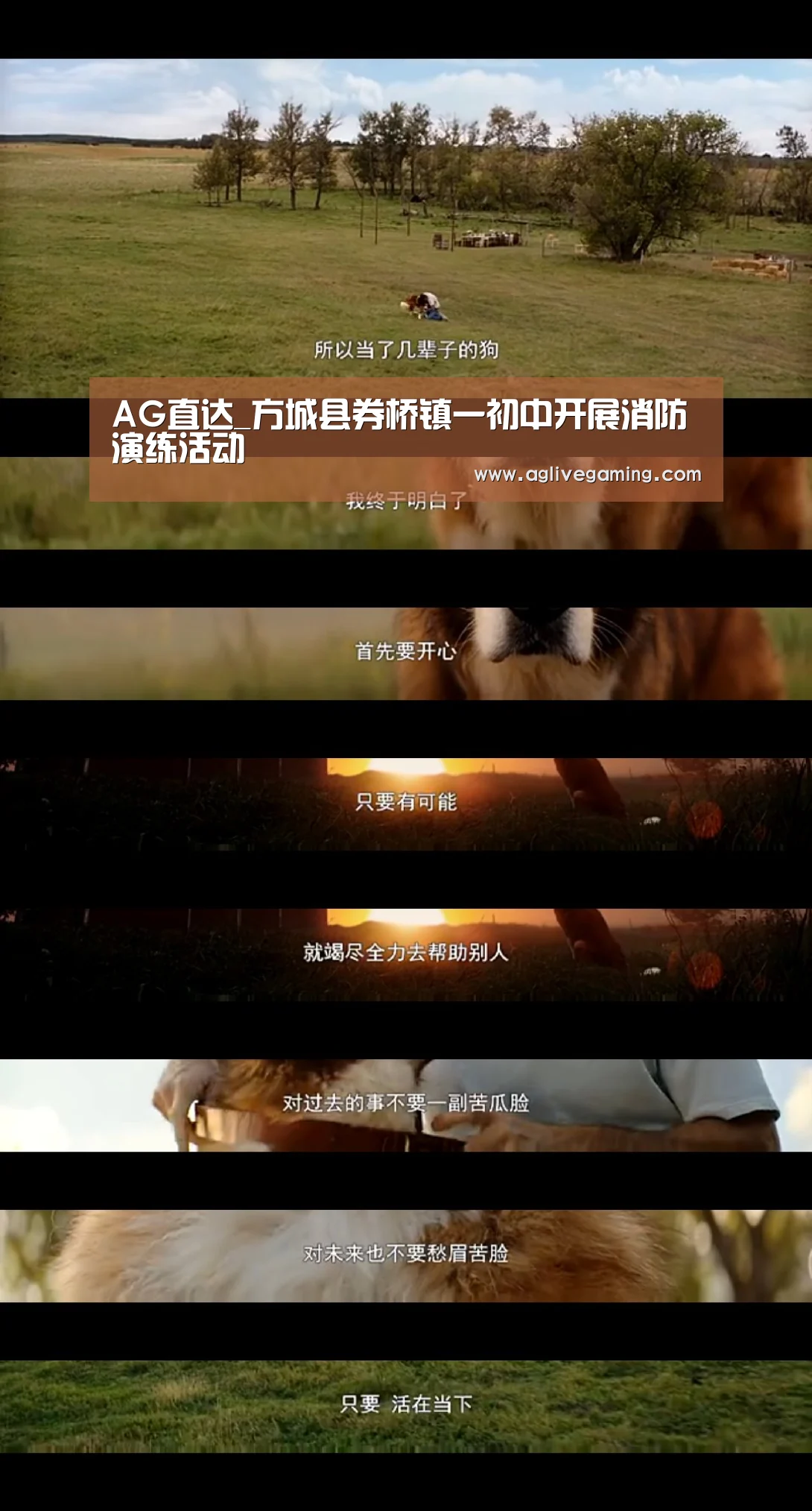 AG直达_方城县券桥镇一初中开展消防演练活动(图4) AG捕鱼