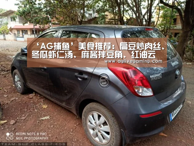 ‘AG捕鱼’美食推荐:扁豆炒肉丝、冬瓜虾仁汤、麻酱拌豆角、红油云丝的做法(图2) AG综合