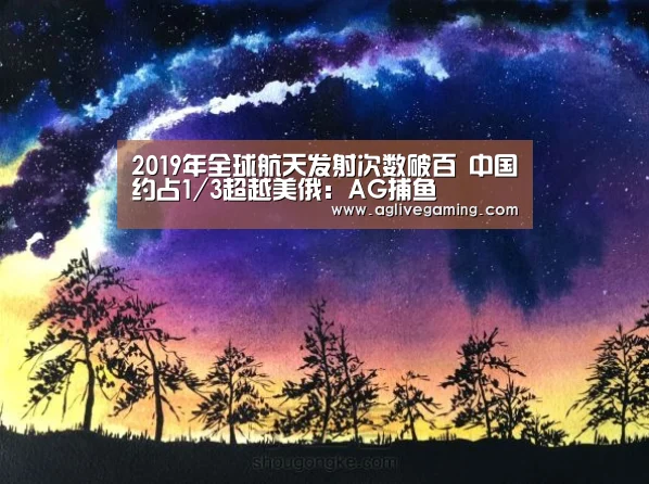 2019年全球航天发射次数破百 中国约占1/3超越美俄:AG捕鱼(图3) AG捕鱼