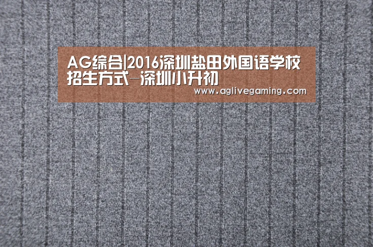 AG综合|2016深圳盐田外国语学校招生方式-深圳小升初(图1) AG综合